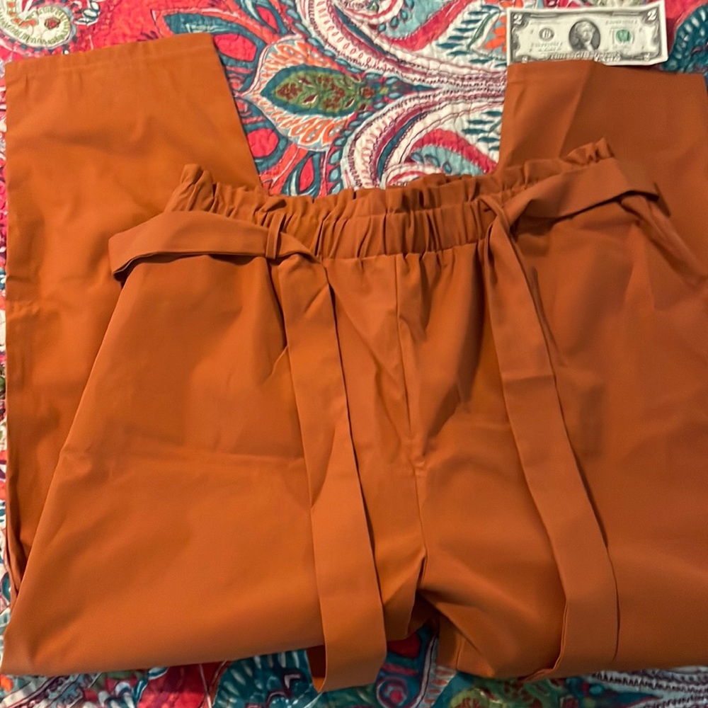 SHEIN pants. New